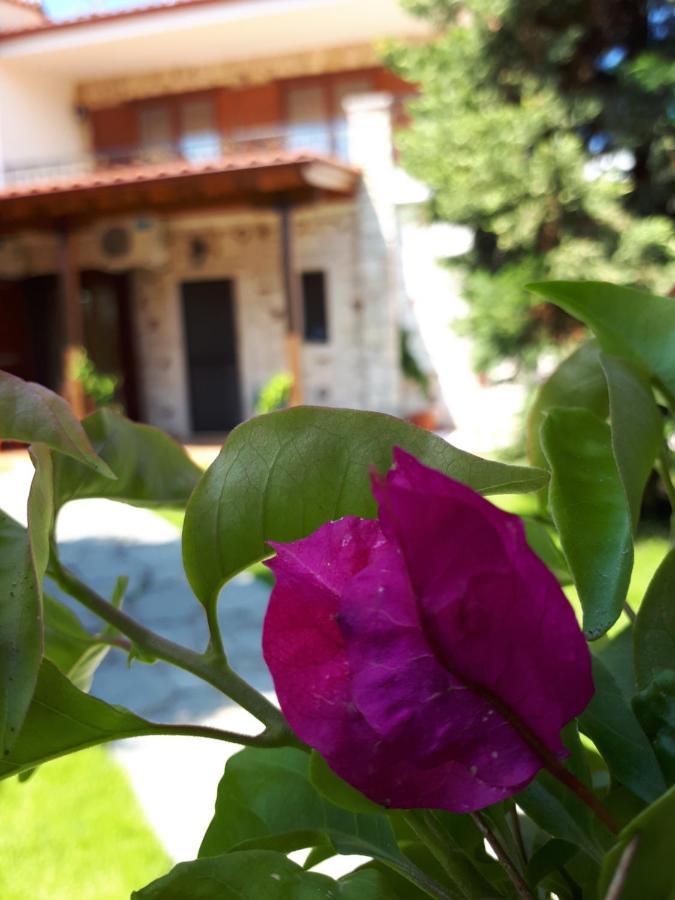 Villa George Afytos Eksteriør bilde